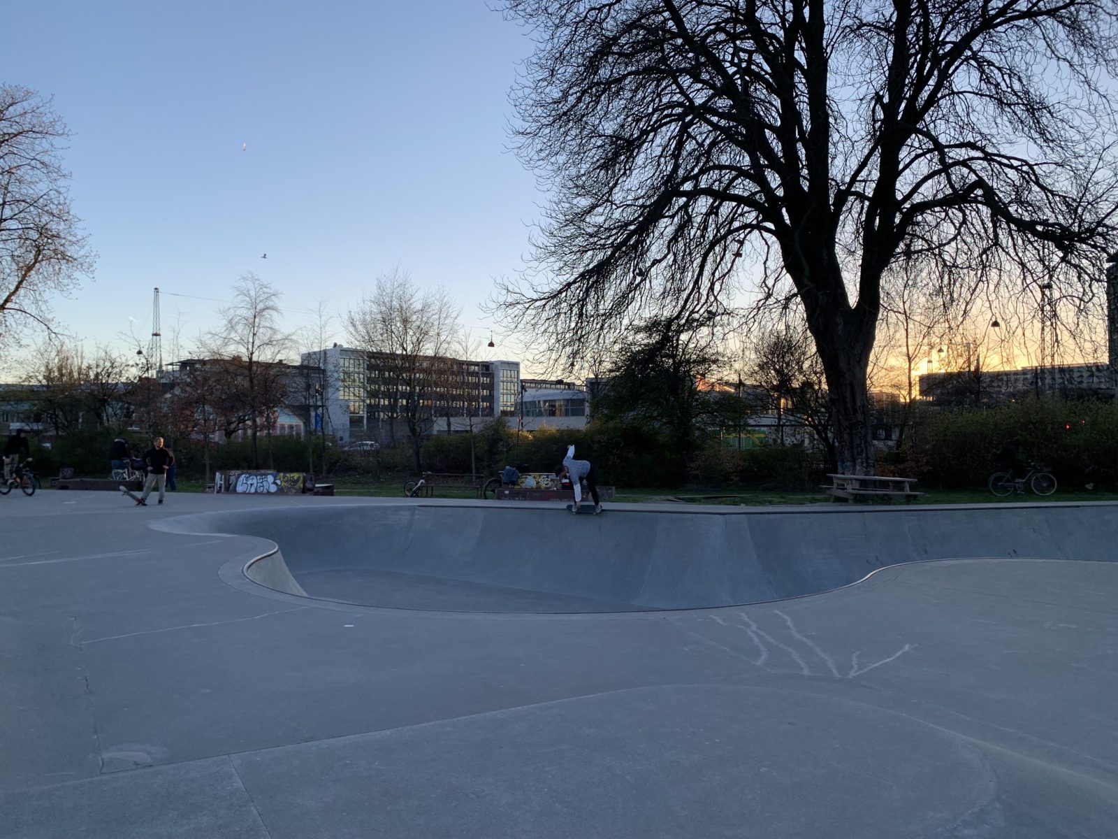 Skateparken i Fælledparken, København Foto: Tverga