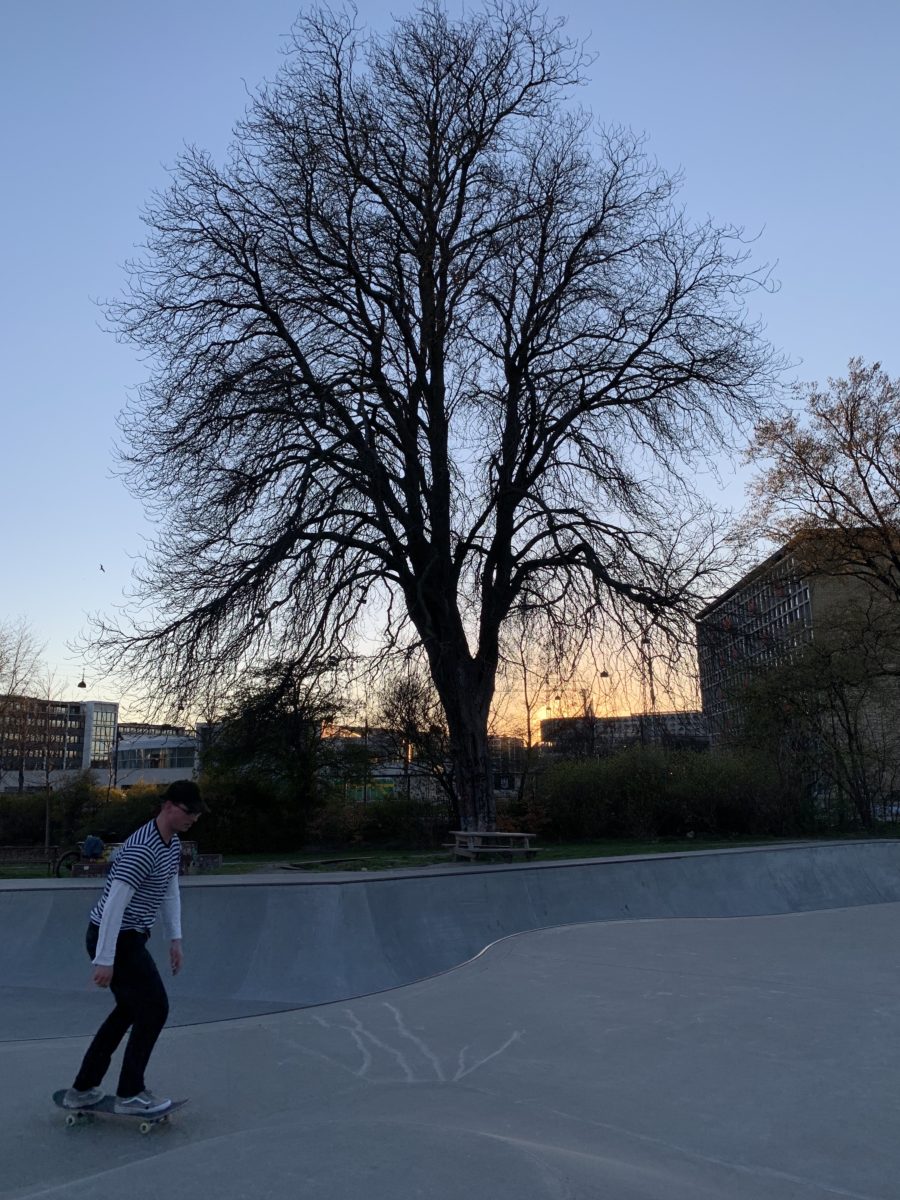 Skateparken i Fælledparken, København Foto: Tverga
